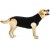 Suitical Recovery Suit for Dogs - Black